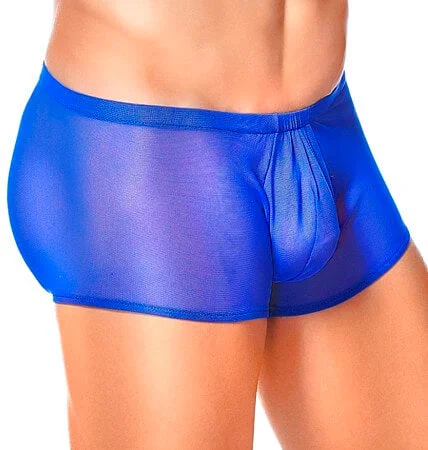 Organic men's briefs for an eco - friendly choiceMen's Royal Mesh Pouch Shorts