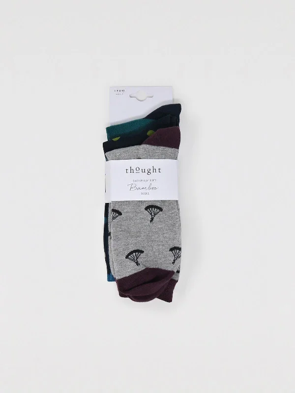 Novelty men's socks with unique patternsAckley Mountain Sock Pack - Multi