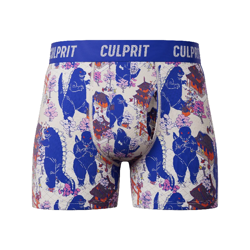 Printed men's boxer briefs with fun designsLizard King 🐲 Boxer Briefs w/ fly