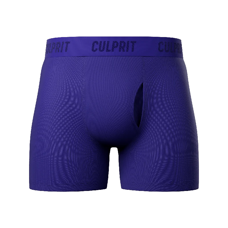 Mesh - paneled men's boxer briefs for ventilationRoyal Blue 💎 Boxer Briefs w/ fly